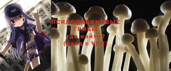 мяу мяу мука Новозыбков