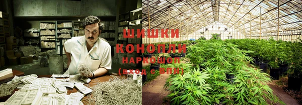 мяу мяу мука Новозыбков