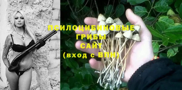 мяу мяу мука Новозыбков